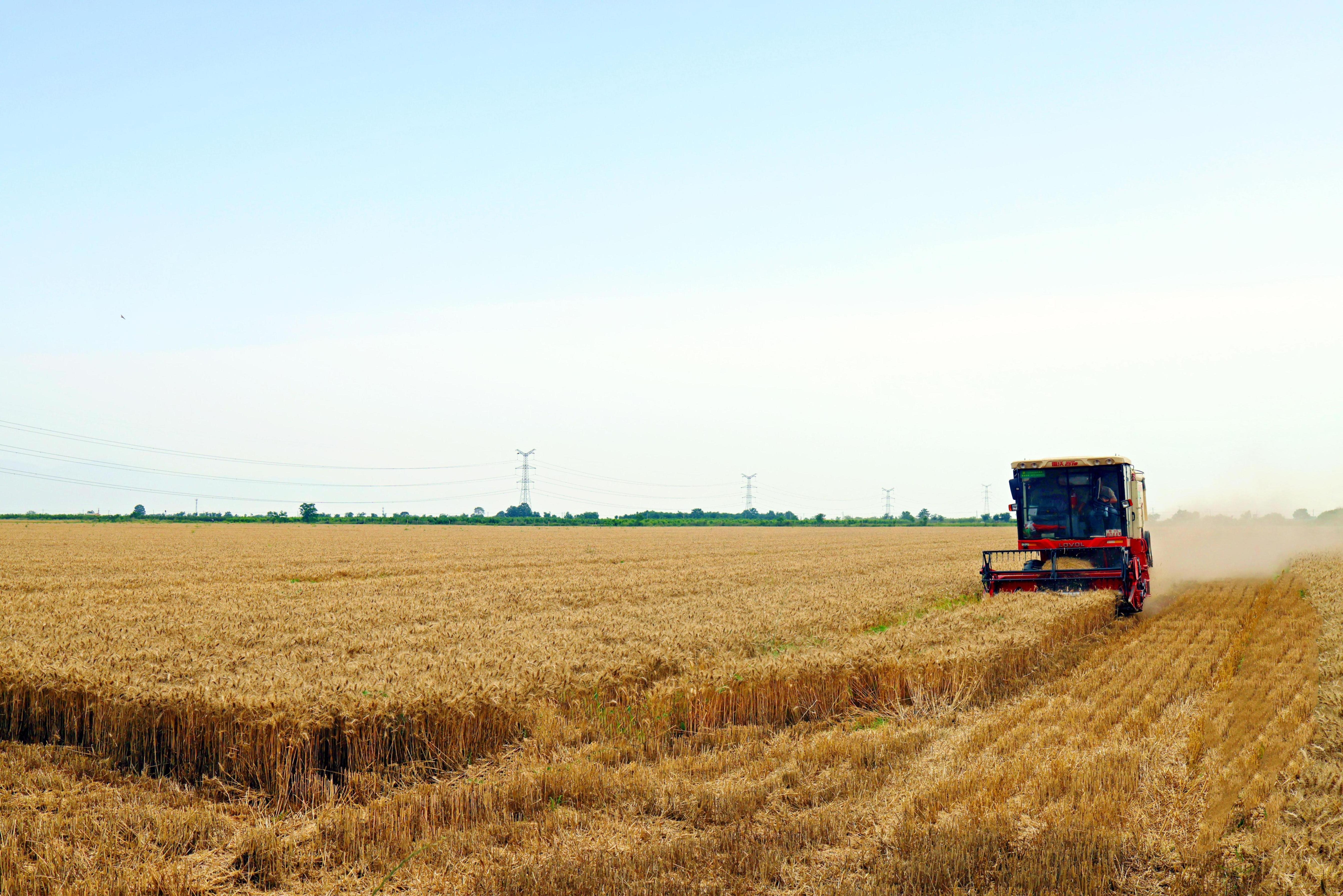 �������׳�ƹ������ְ�����������С����վ�������ʡˮ������ͼ