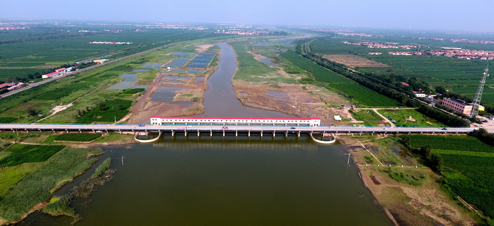 14  辛集挡潮闸.jpg