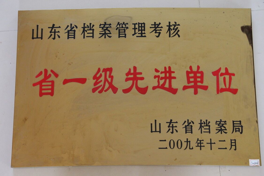 2009年罗寨闸所被评为山东省一级档案管理先进单位.jpg