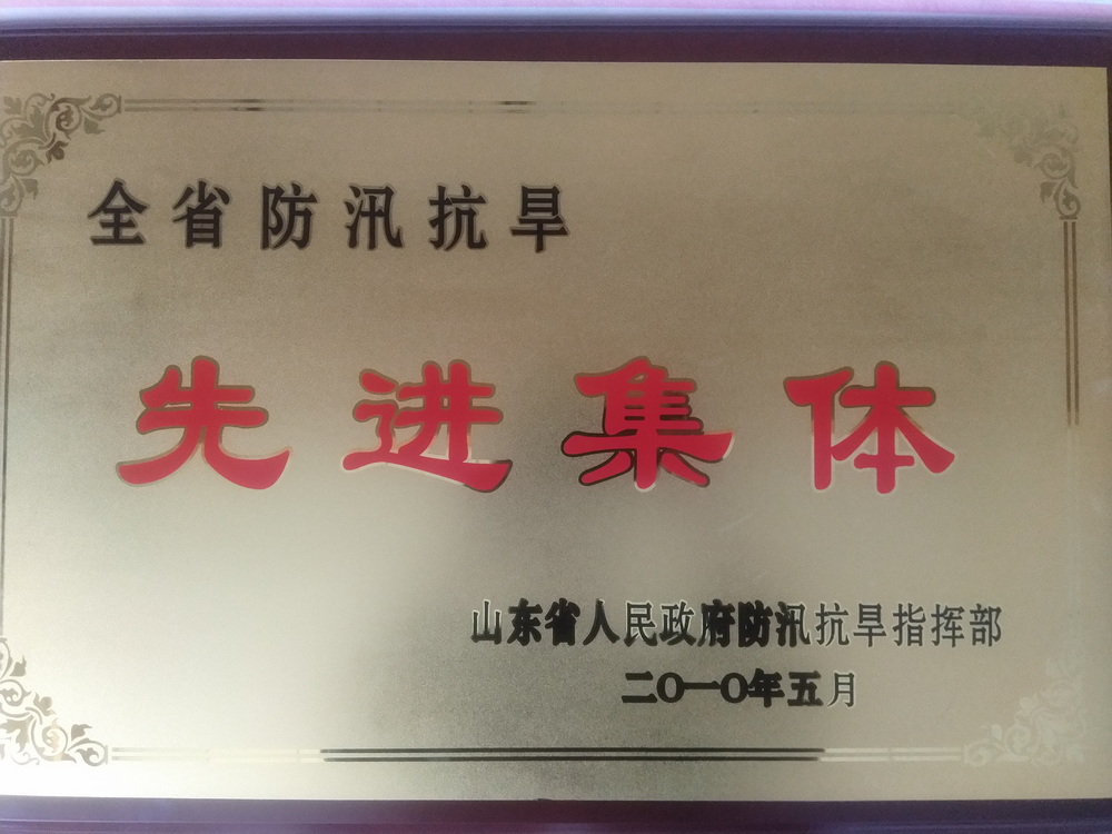 2010年防办被授予全国防汛抗旱先进集体.jpg